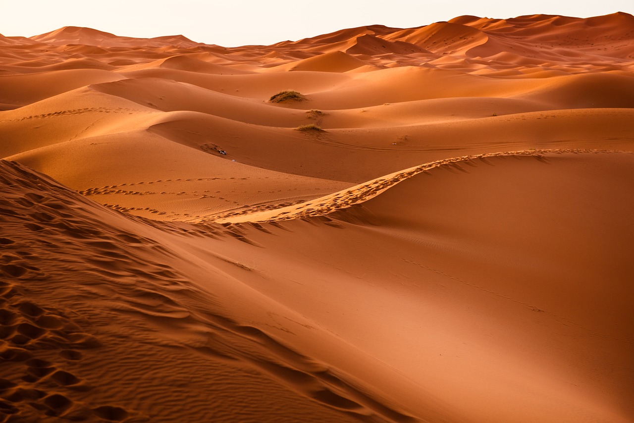 sand dunes scene