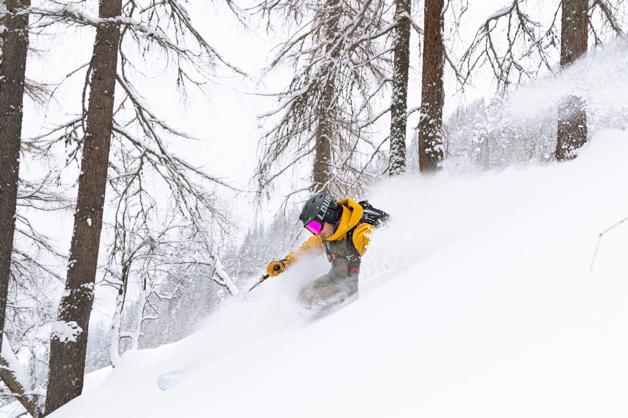 skiing in deep powder