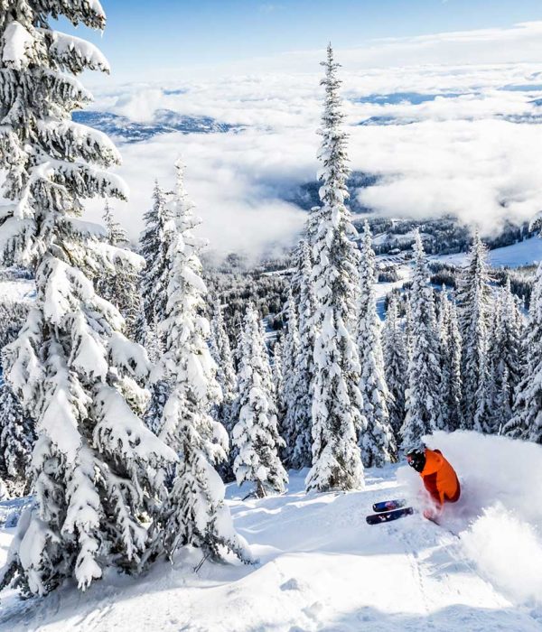 skiier in Canada powder