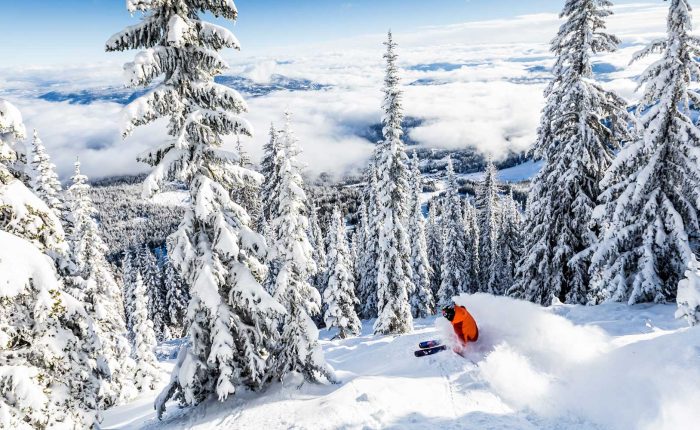 skiier in Canada powder