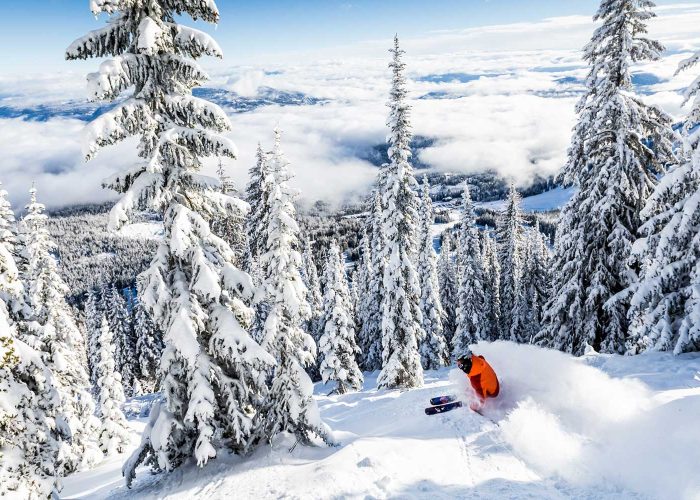 skiier in Canada powder