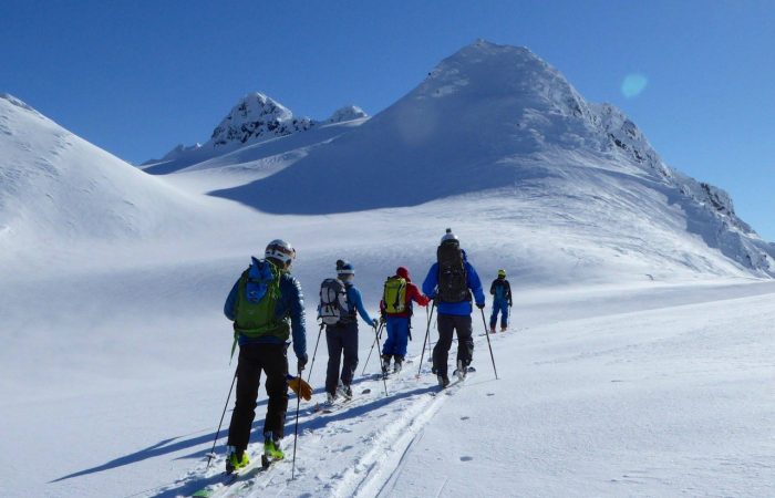 group of ski tourers