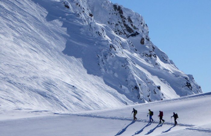 group of ski tourers