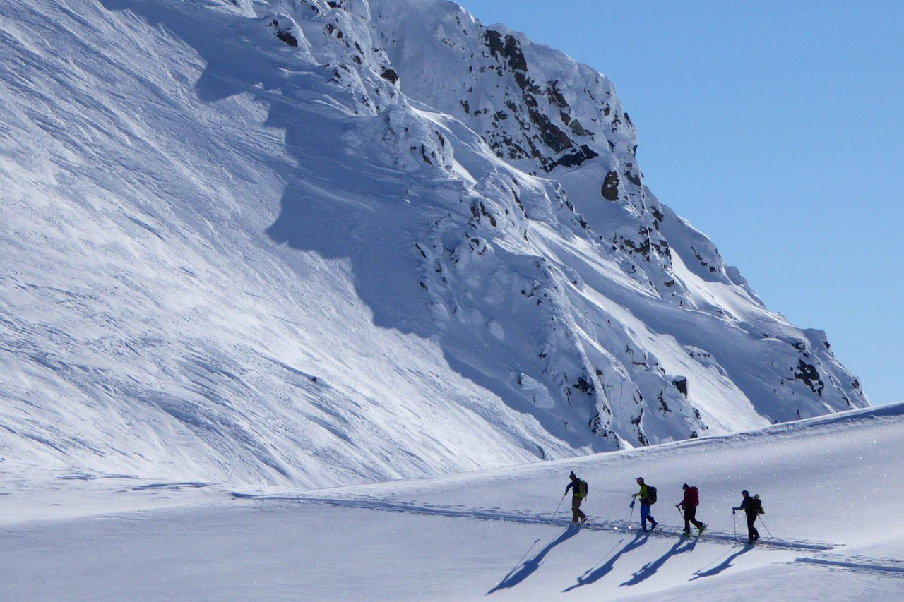 group of ski tourers