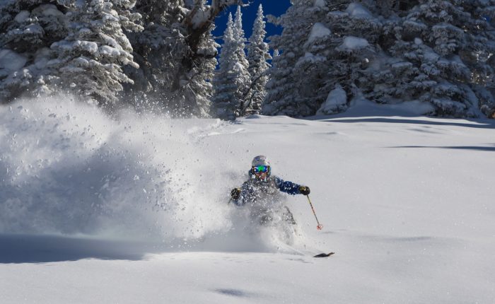 skier in very deep powder
