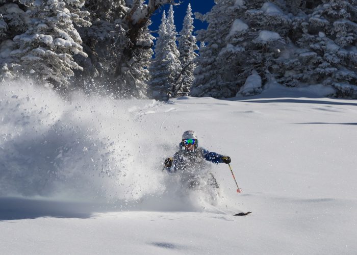 skier in very deep powder
