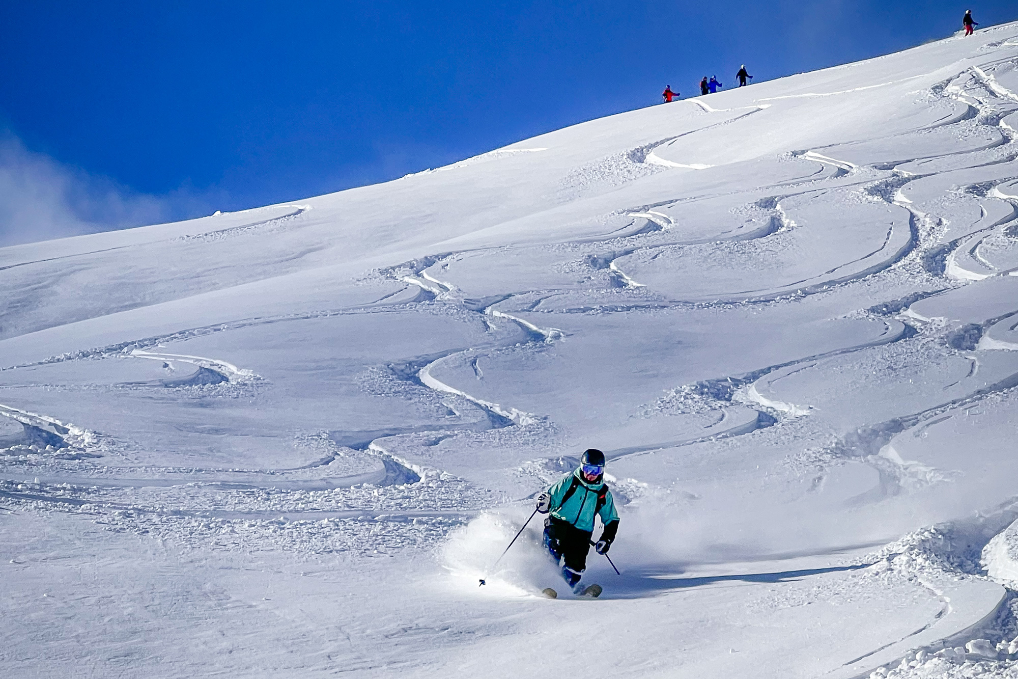 skiing powder snow