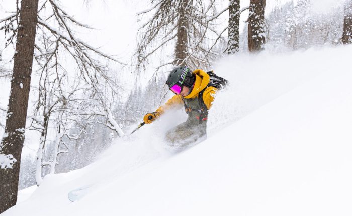 backcountry skier in the trees
