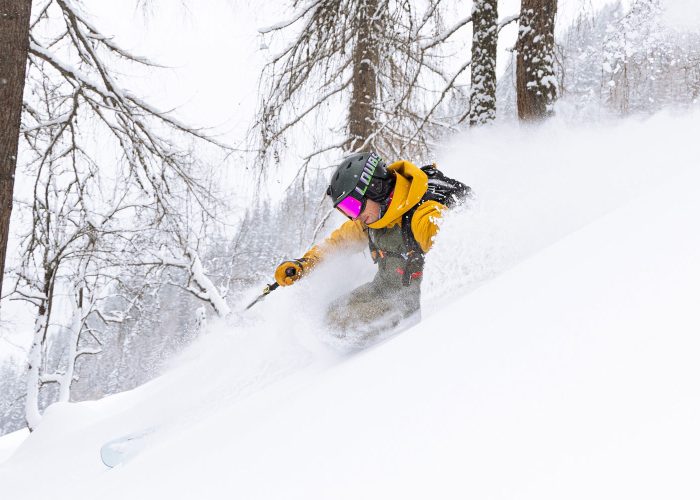 backcountry skier in the trees