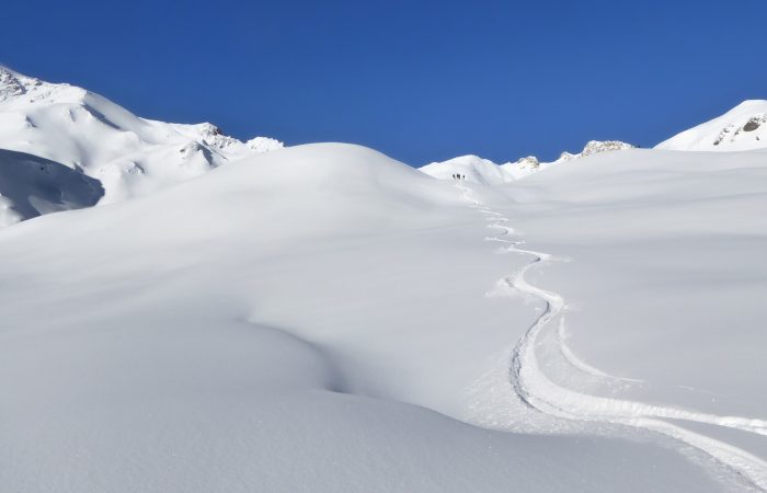 backcountry skiers