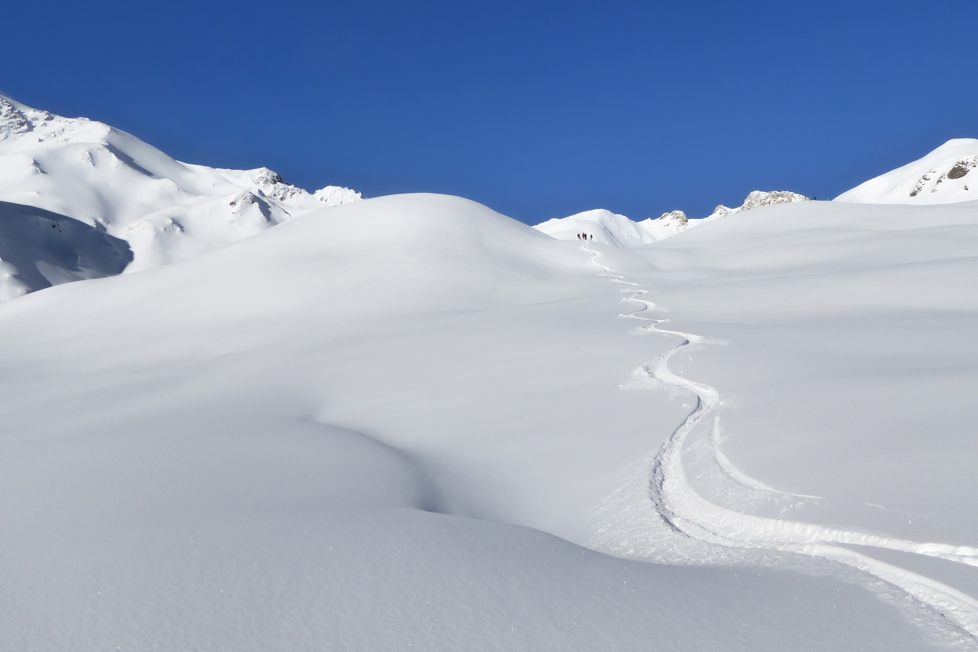backcountry skiers