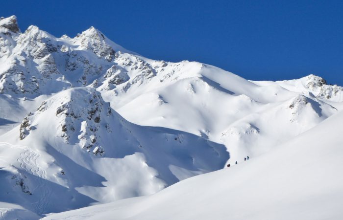 backcountry skiers